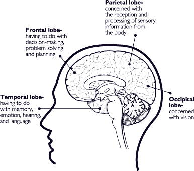 Inpatient Brain Injury Recovery Program: Northeast Rehabilitation Hospital